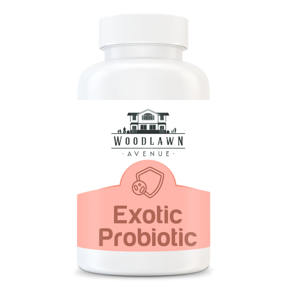 Exotic Probiotic - Excellent Probiotic Enhanced Digestive Health and Stronger Immune System, More Energy